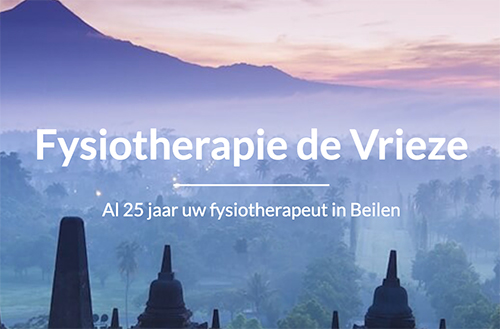 Fysiotherapie de Vrieze