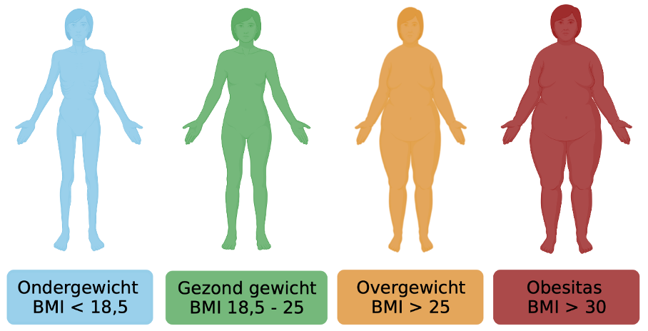 ￼Wat zegt je BMI?