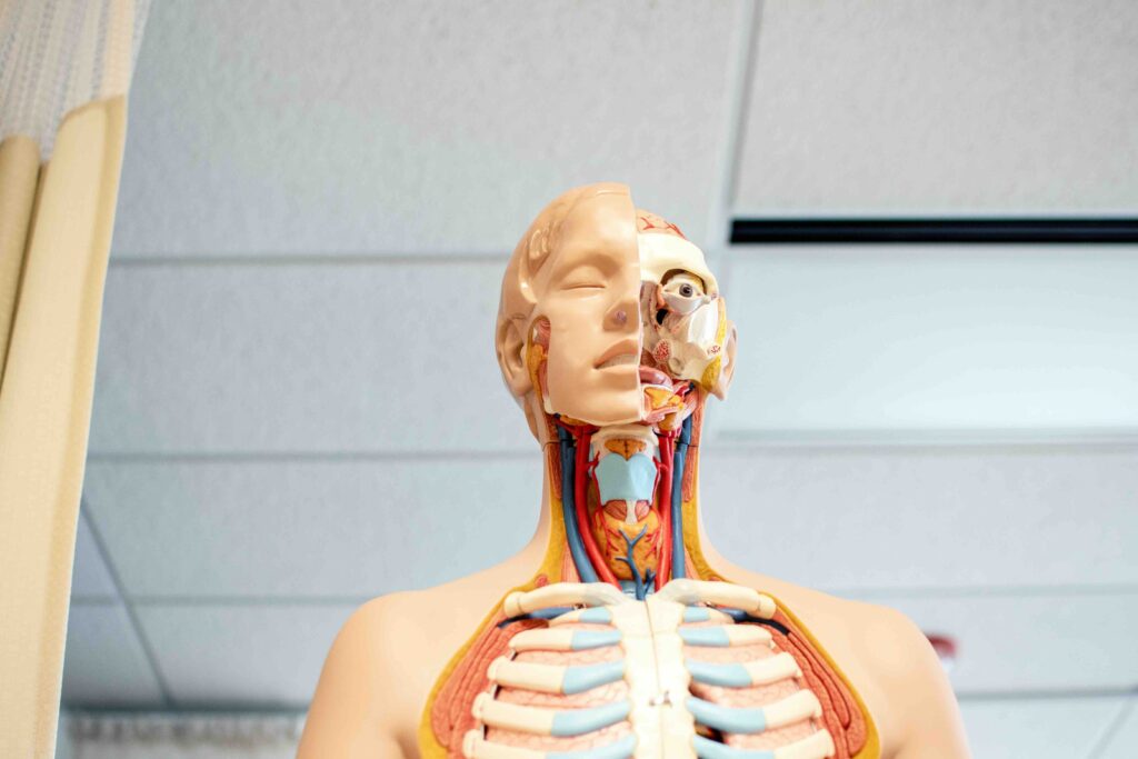 wat-is-lymfe-oedeem-fysiotherapie-jansen